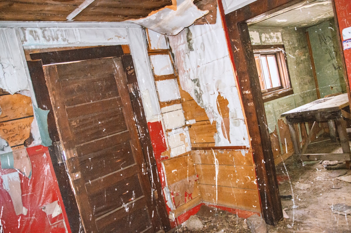 Flood Cleanup service in University, FL