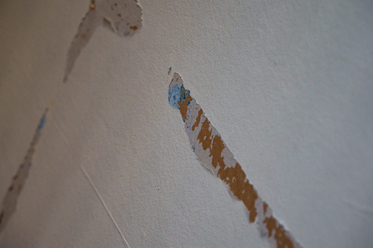 Structural Drying service in University, FL